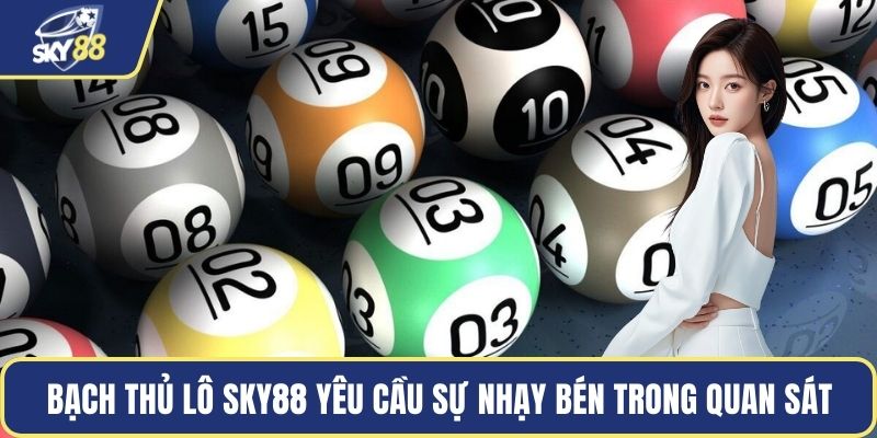 Bạch thủ lô Sky88 yêu cầu sự nhạy bén trong quan sát