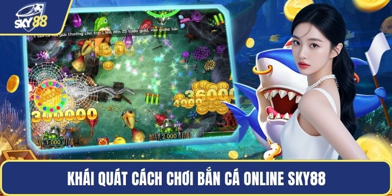Khái quát cách chơi bắn cá online Sky88